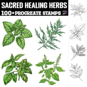 May include: Digital art featuring illustrations of various herbs, including mint and basil, with detailed green leaves and stems. The text "SACRED HEALING HERBS" and "100+ PROCREATE STAMPS" is displayed at the top, indicating a digital art product.