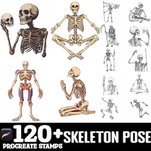 Op de afbeelding: Een set van 120+ skeletposes in verschillende posities, perfect voor het maken van digitale kunst of illustraties. De poses zijn getekend in een vintage stijl met gedetailleerde lijnen en schaduwen.