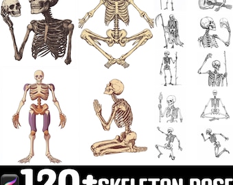 120+ Skeleton Poses Procreate Stempel | Procreate Pinsel | Sofortiger digitaler Download