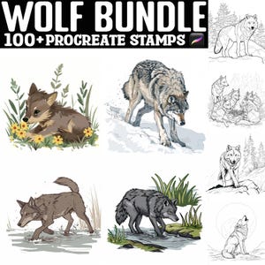 100+ Wolf Procreate Stamps | Procreate Brushes | Instant Digital Download