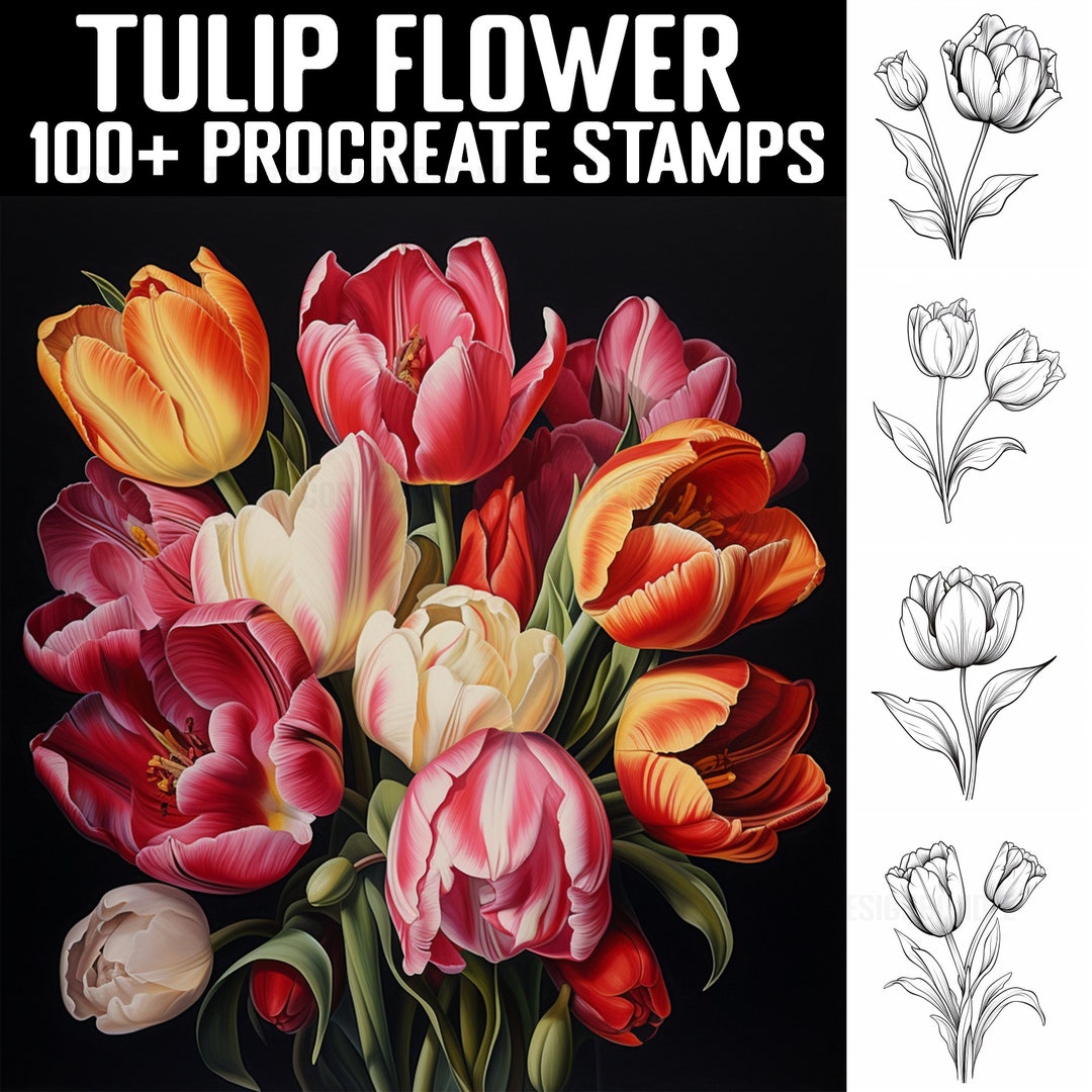 100 Procreate Tulip Stamps Tulip Guides Instant Digital Etsy