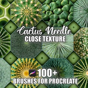 Cactus Needle Texture Procreate Brushes: Seamless Patterns (Instant Download)