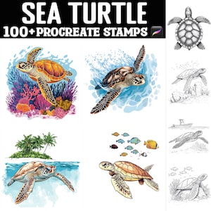 May include: A set of 100+ digital stamps featuring sea turtles in various poses and settings. The stamps are designed for use in the Procreate app. The image shows a variety of sea turtle illustrations, including a turtle swimming in the ocean, a turtle on a coral reef, and a turtle on a beach.