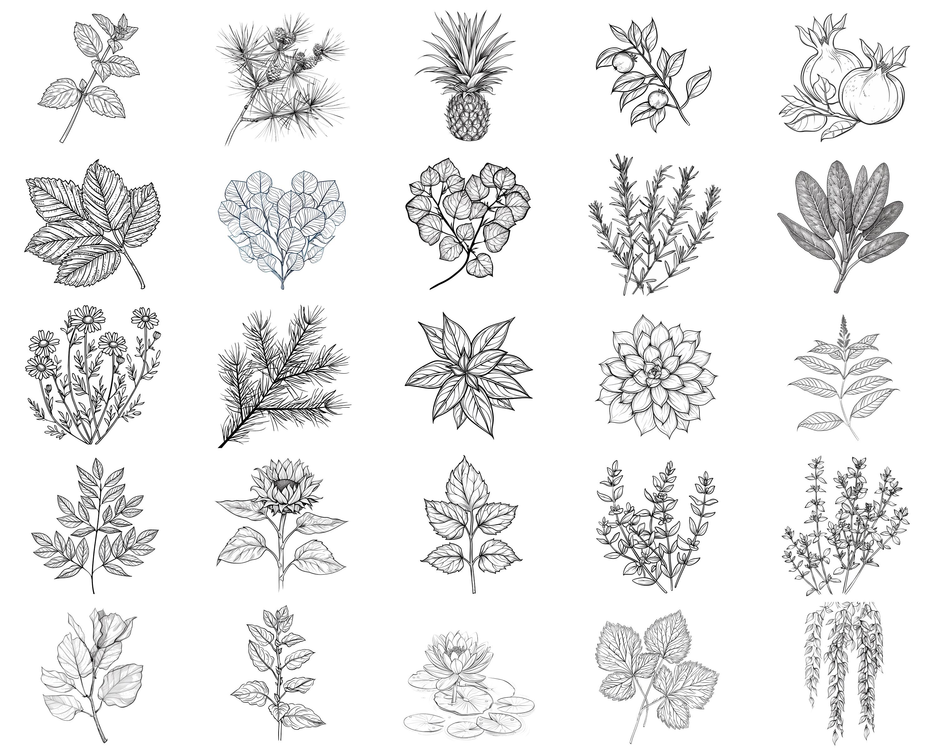 100+ Foliage Bundle Procreate Stamps | Procreate Brushes | Instant ...