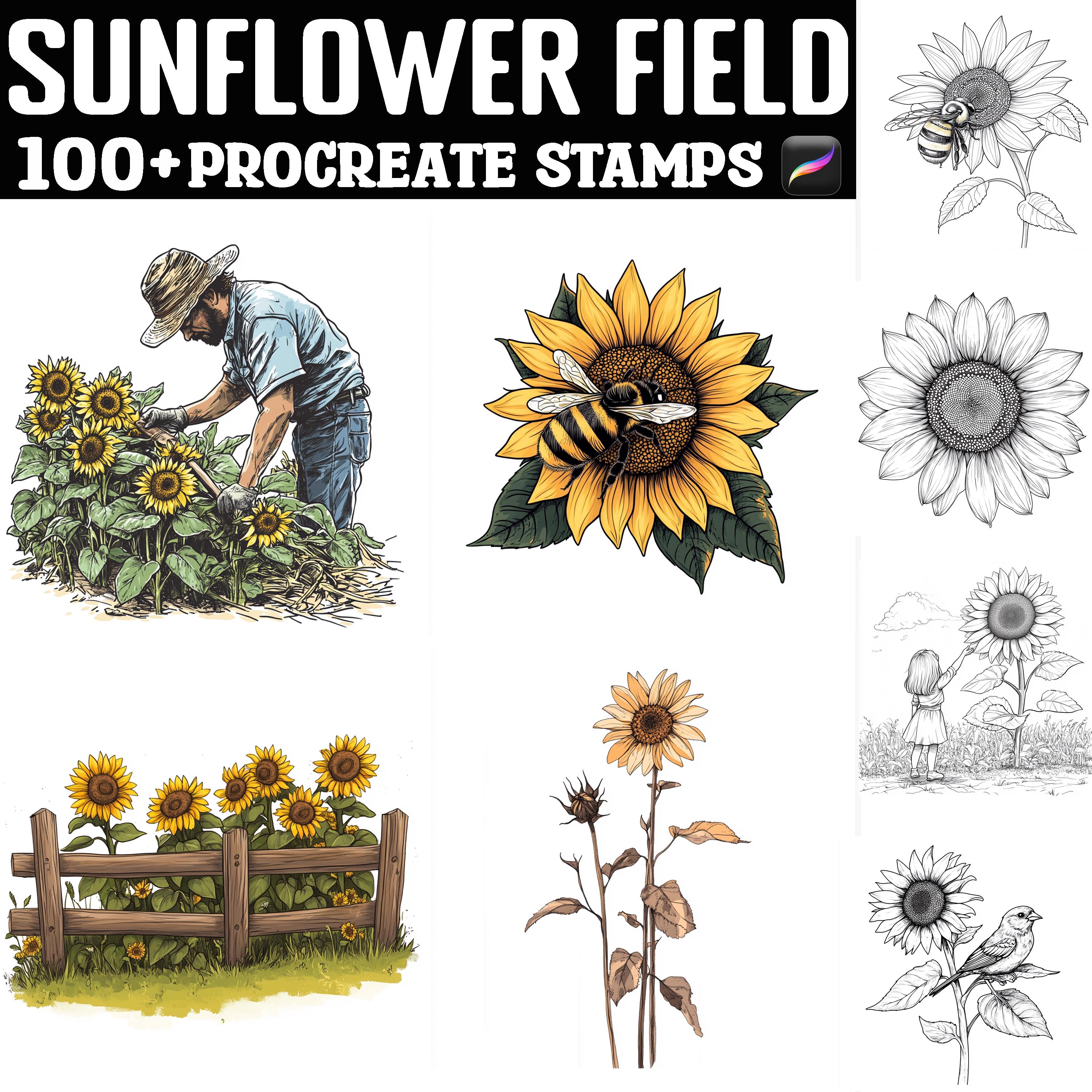 Más de 100 sellos de campo de girasoles para Procreate / Pinceles para Procreate / Descarga digital instantánea