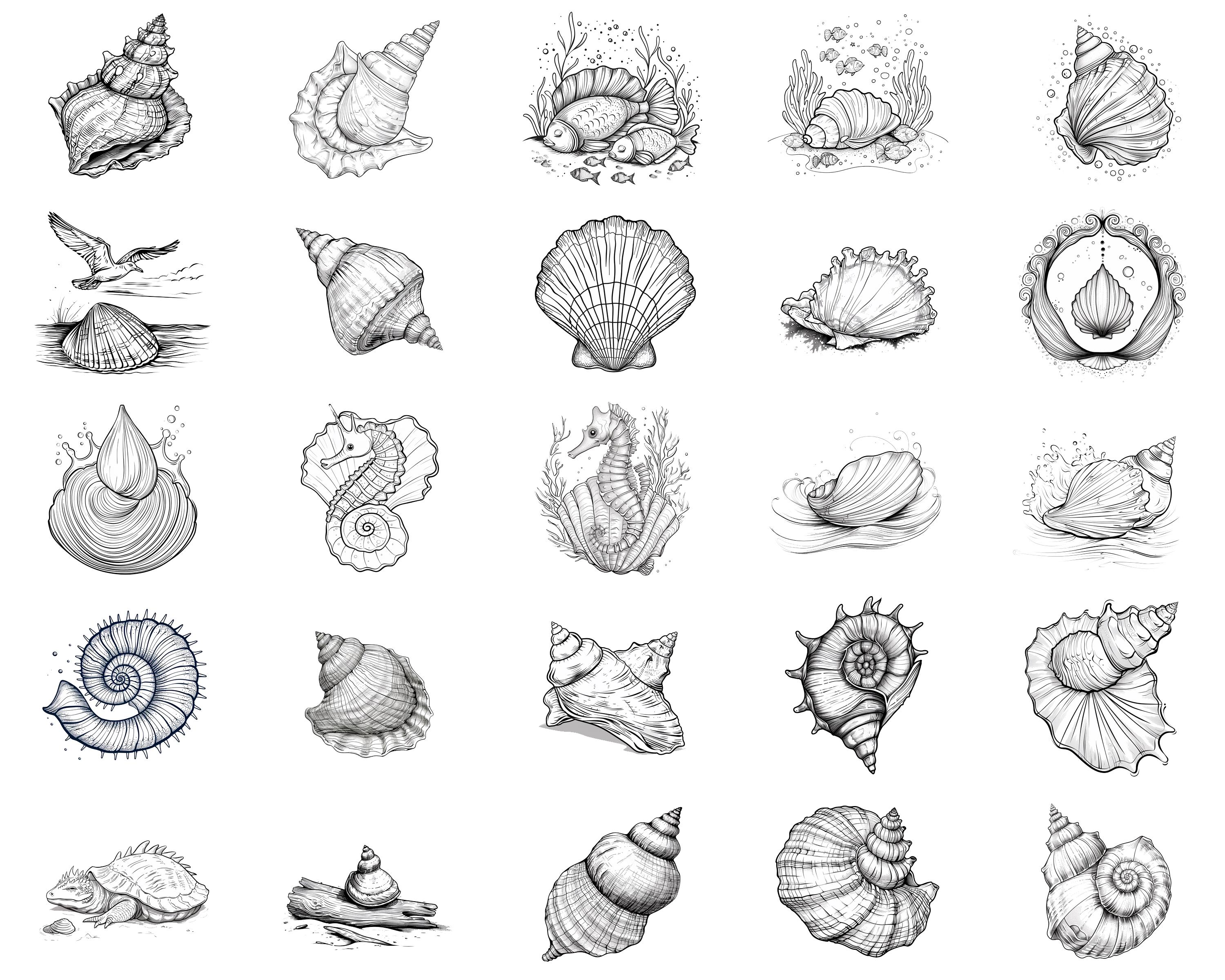 Procreate Shell Shading 100+ Shell Whisper Procreate Stamps | Procreate Brushes | Instant ...
