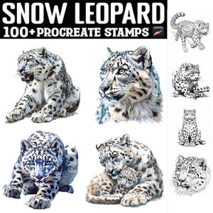 May include: A set of 100+ digital stamps featuring snow leopards in various poses. The stamps are designed for use in the Procreate app. The image shows a variety of snow leopard illustrations, including a snow leopard grooming itself, a snow leopard looking to the side, a snow leopard with a cub, and a snow leopard in a playful pose.