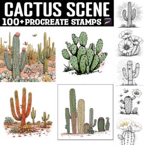 Op de afbeelding: Digitale kunststempels met verschillende cactusscenes. De afbeelding bevat illustraties van verschillende cactussoorten, sommige met bloemen en insecten, en een woestijnlandschap. Tekst bovenaan luidt "CACTUS SCENE" en "100+ PROCREATE STAMPS".