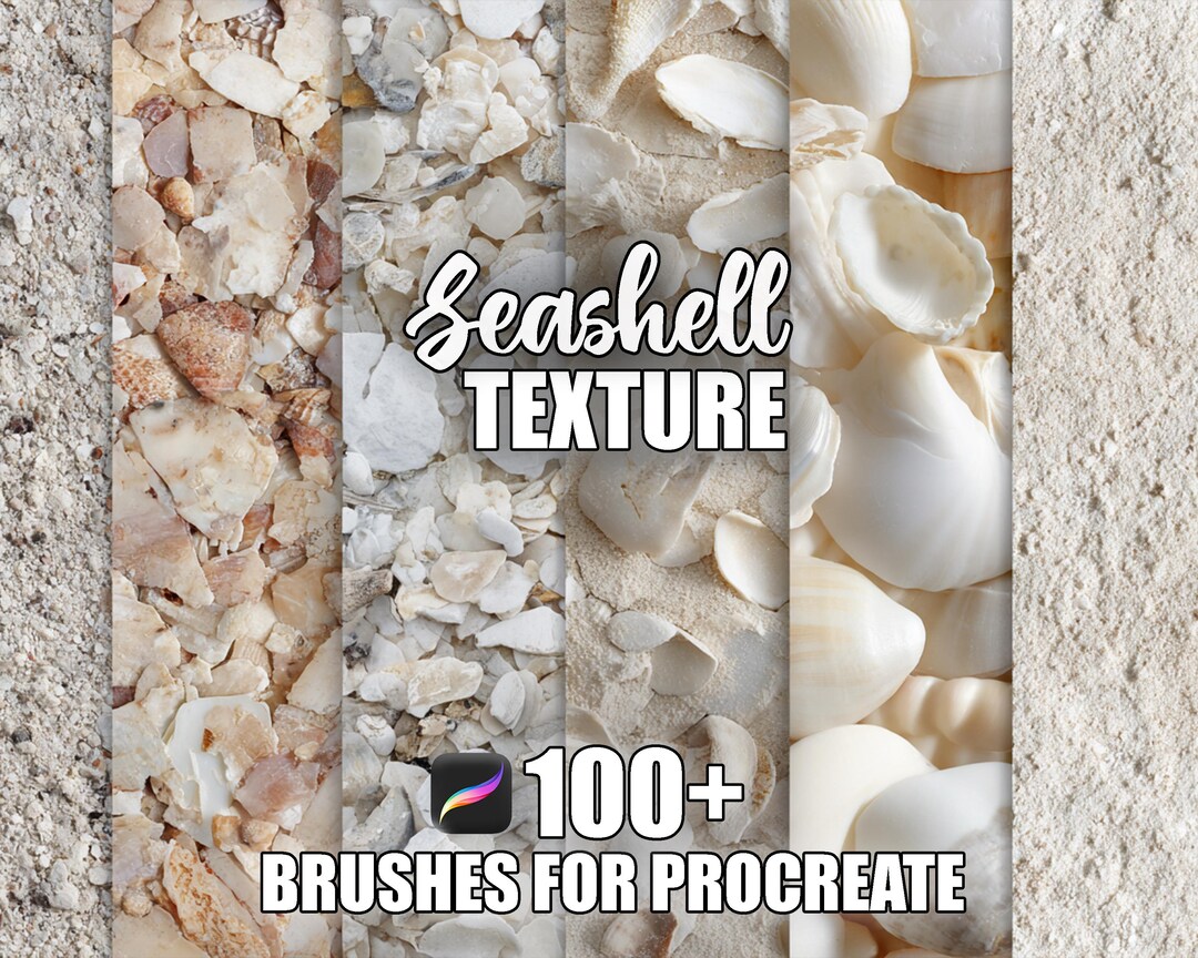 Seashell Texture Procreate Brushes: 100+ Seamless Patterns (instant ...