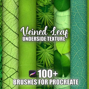 Puede incluir: Imagen de arte digital que muestra varias texturas de hojas verdes, incluyendo patrones de venas y del envés. El texto dice "Veined Leaf Underside Texture" y "100+ Brushes for Procreate."