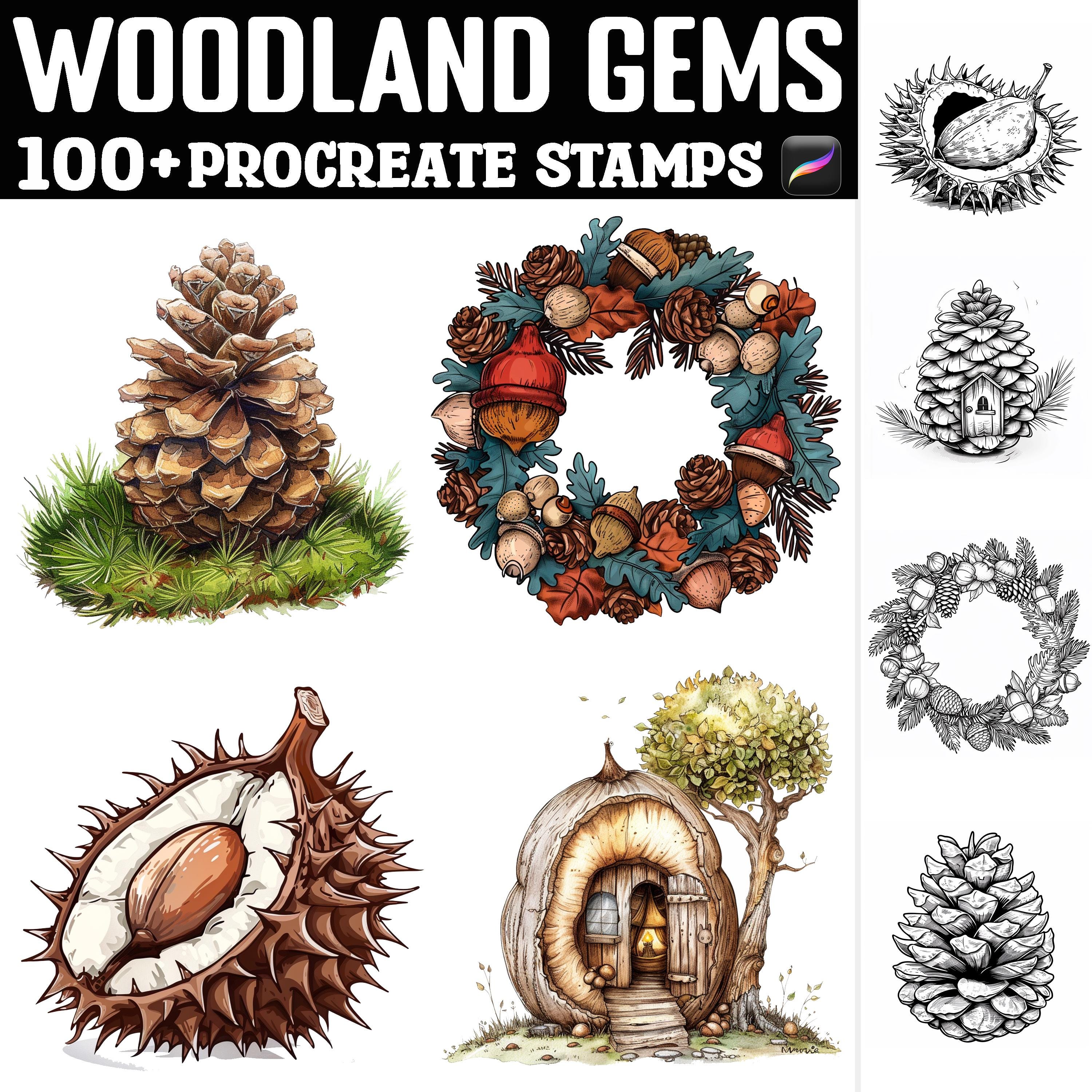 100+ Woodland Gems Sellos y Pinceles para Procreate | Naturaleza, Flora, Hongos | Descarga instantánea