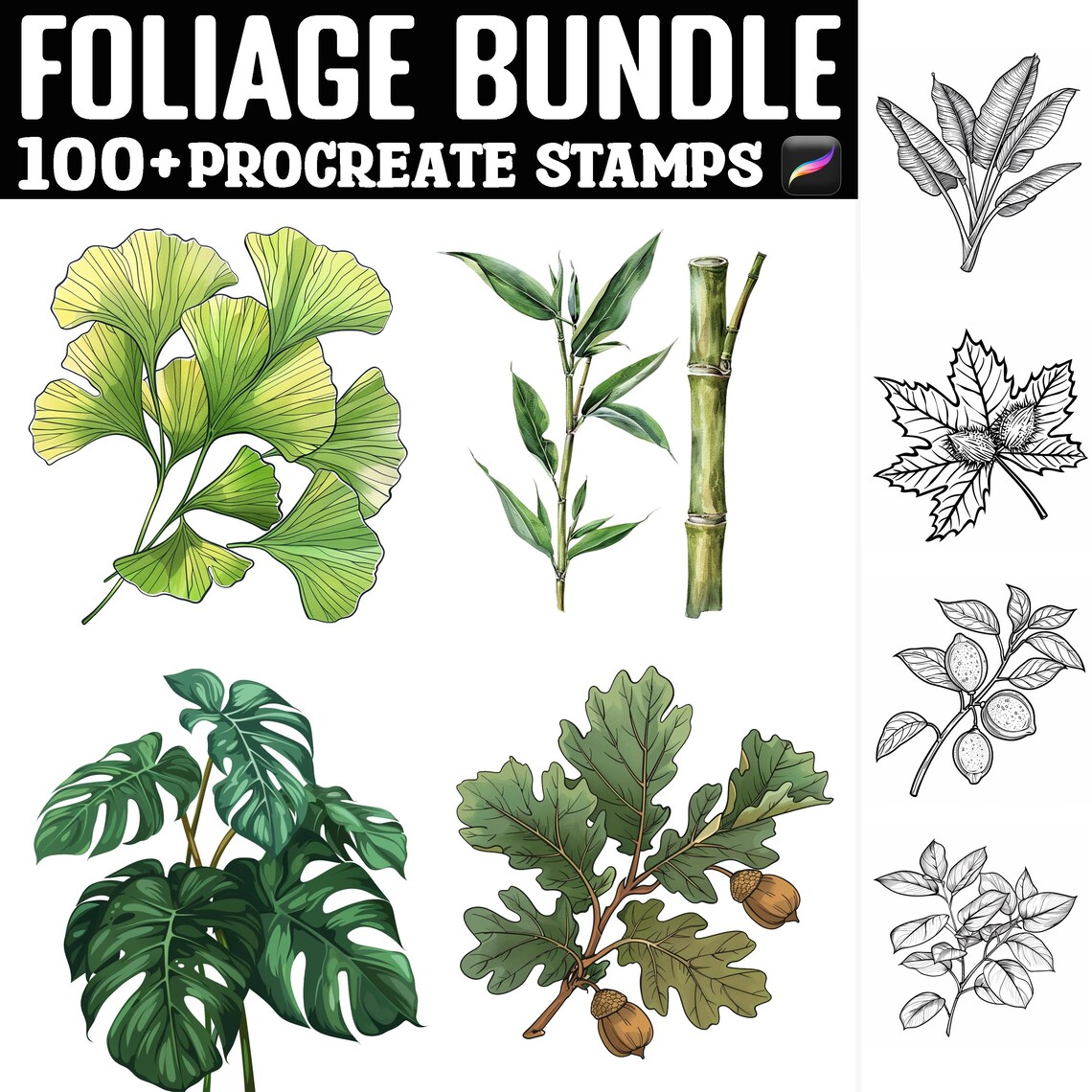 100+ Foliage Bundle Procreate Stamps | Procreate Brushes | Instant ...