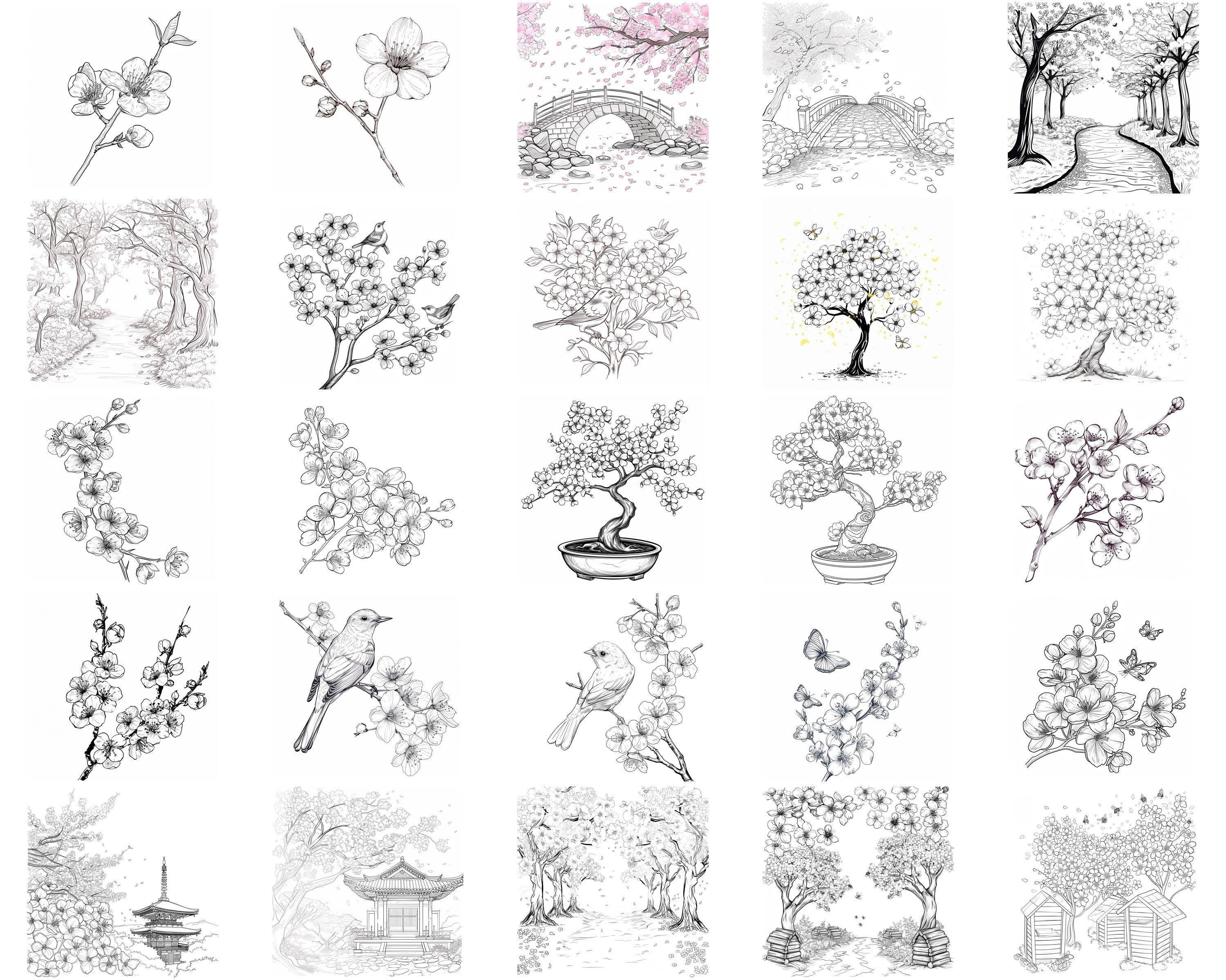 100+ Cherry Blossom Parks Procreate Stamps | Procreate Brushes ...