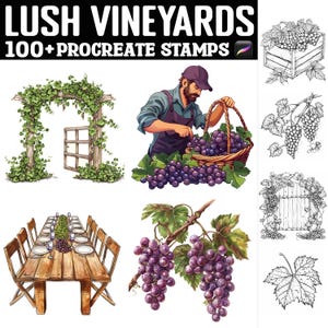 Könnte beinhalten: Ein Set mit über 100 Procreate-Stempeln mit üppigen Weinbergen, Trauben und Weinbergsmotiven. Die Stempel sind im Schwarzweiß-Linienkunst-Stil gehalten. Das Bild zeigt einen Weinbergarbogen, einen Tisch mit Trauben und Weingläsern, einen Korb mit Trauben und eine einzelne Traube.