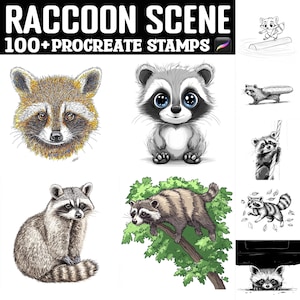 100+ Raccoon Procreate Stamps | Procreate Brushes | Instant Digital Download