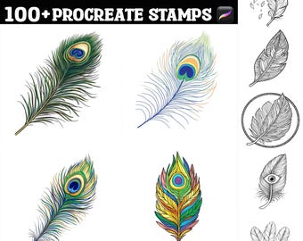 100+ Peacock Feather Patterns Procreate Stamps | Procreate brushes | Instant Digital Download