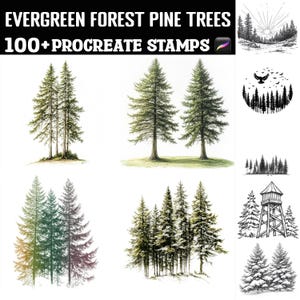 May include: An image featuring various illustrations of evergreen forest pine trees. The image includes detailed drawings of individual trees and groups of trees, along with the text "EVERGREEN FOREST PINE TREES" and "100+ PROCREATE STAMPS".