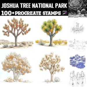 100+ Joshua Tree National Park Procreate Briefmarken | Procreate Pinsel | Sofortiger digitaler Download