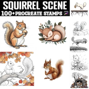 May include: Digital art set featuring various squirrel illustrations. The images include squirrels in different poses, some holding nuts, sleeping, or perched on branches. The text "SQUIRREL SCENE" and "100+ PROCREATE STAMPS" are displayed at the top.