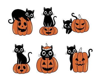 Black Cat Pumpkin Halloween PNG SVG Bundle (Digital Download)