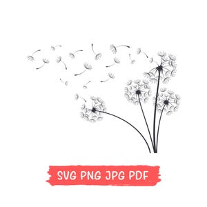Löwenzahn SVG, PNG, Löwenzahn SVG, Sofort Download, Digitaler Download, Blumen Clipart, Blumen Silhouette SvG