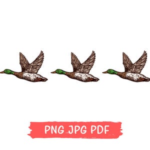 Fliegende Stockente PNG, Fliegende Ente PNG JPG Pdf, Lustige Ente Png, Lustiges Gänsehemd, Tierliebhaber Png, Entenjäger