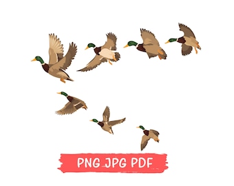 Flying Mallards PNG: Funny Duck Shirt Design (Digital Download)