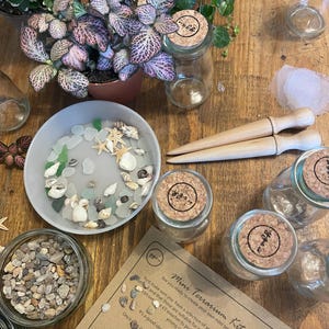 May include: A mini terrarium kit with instructions on how to create your own terrarium. The kit includes a variety of materials, including sand, pebbles, charcoal, and a small plant. The kit also includes a wooden tool for planting and a voucher for a discount on a young green shoot.