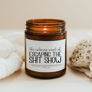 Funny Coworker Farewell Candle Gift for Friend Leaving Job Goodbye Gift for Coworker Leaving Job Sarcastic Candle Funny Moving Gift for Boss
