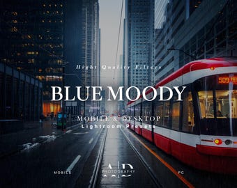 10 Blue Moody Lightroom Presets 10 Mobile & Desktop Presets Dark Moody Presets Gothic, Landscape Gloomy Cinematic Nature Photography Presets