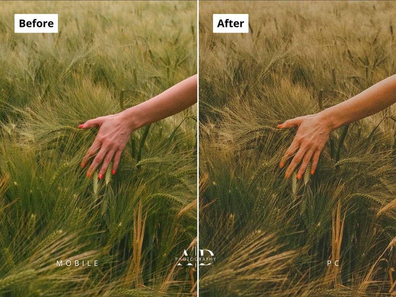 May include: A field of wheat with a hand gently touching the stalks. The wheat is a mix of green and gold, with the hand showing orange nail polish. The image is split, with "Before" and "After" text.