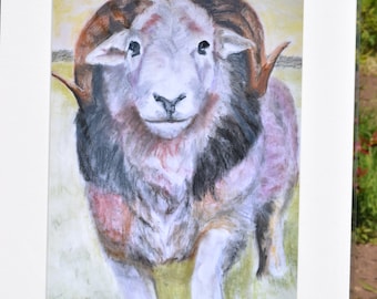 Herdwick Tup print signed and mounted