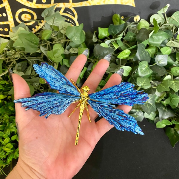 Kyanite Dragonfly