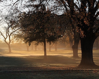 Foggy Morning on the Golf Course