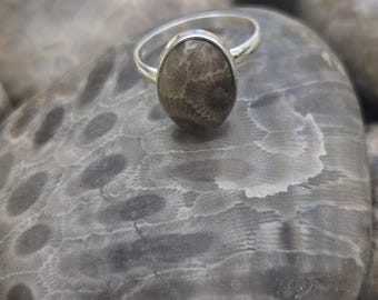 Anillo ajustable con piedra de Petoskey