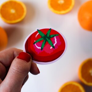 Tomato Sticker Set of 2 | Illustrated Fruit Vinyl Stickers | Cute Kitchen Decor | Laptop & Journal Sticker | Cottagecore Gift | Indi Arden Art