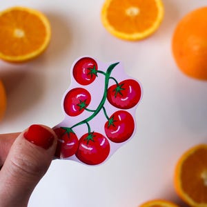 Tomato Sticker Set of 2 | Illustrated Fruit Vinyl Stickers | Cute Kitchen Decor | Laptop & Journal Sticker | Cottagecore Gift | Indi Arden Art