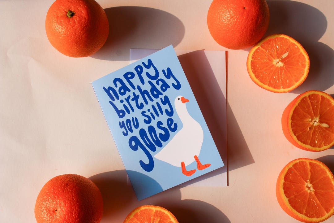 Silly Goose Birthday Greeting Card | Humour Card | Cute Card | Happy ...