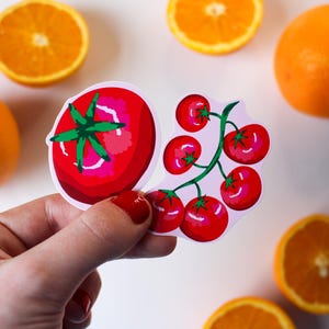 Tomato Sticker Set of 2 | Illustrated Fruit Vinyl Stickers | Cute Kitchen Decor | Laptop & Journal Sticker | Cottagecore Gift | Indi Arden Art