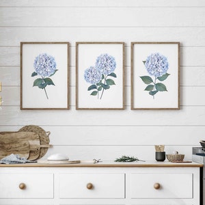 Lot de 3 imprimés hortensias bleu aquarelle botanique imprimable art mural floral décoration murale minimaliste coloré décoration téléchargement immédiat