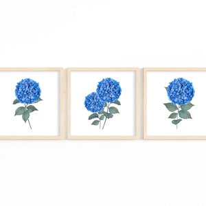 Hydrangea Print Set of 3 Blue Watercolor Botanical Printable Wall Art Floral Wall Decor Minimalist Colorful Home Decor Instant Download