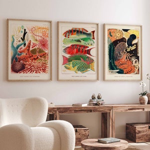 Coral Reef Set of 3 Great Barrier Reef Botanitcal Poster Vintage Educational Wall Art Ocean Life Sea Coral Colorful Decor Instant Download