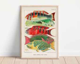 Coral Reef Print Great Barrier Reef Wall Art Vintage Educational Poster Sea Coral Ocean Life Art Botanical Colorful Decor Instant Download
