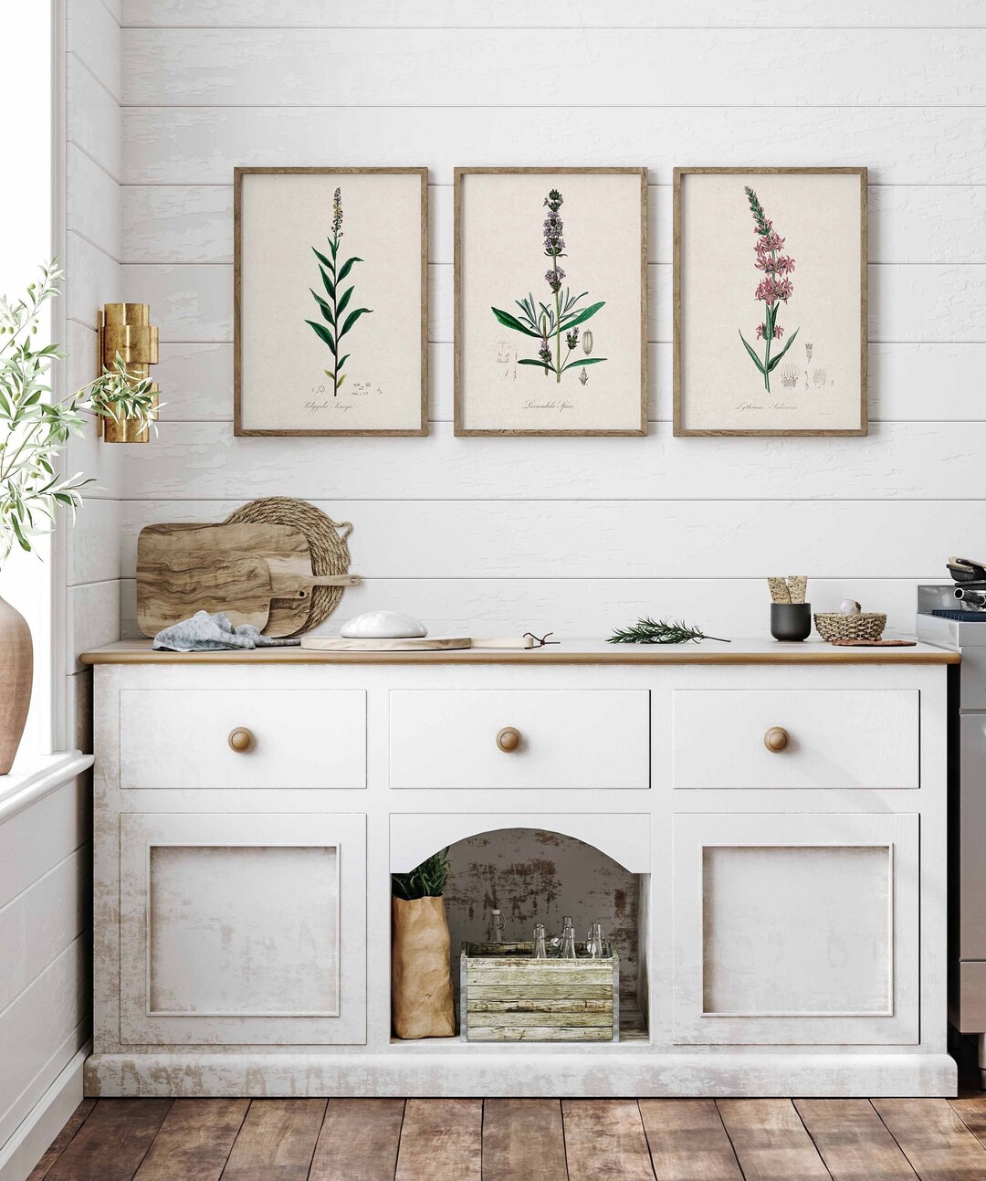 kitchen wall decor art prints - botanical prints -... Vintage Botanical Prints Set of 3 Antique Floral Wall Art Herb Prints ...