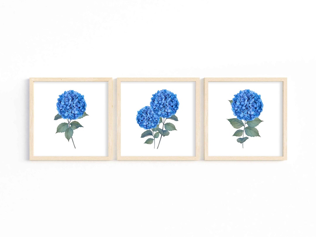 Hydrangea Print Set of 3 Blue Watercolor Botanical Printable Wall Art ...