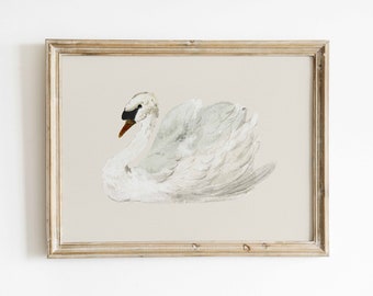 Neutral Wall Art Muted White Swan Vintage Print Antique Nursery Minimalist Beige Decor Modern Farmhouse Country Cottage Digital Download