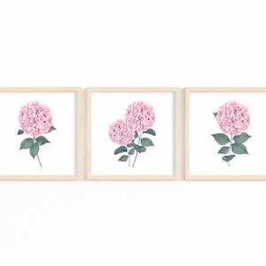 Hydrangea Print Set of 3 Pink Watercolor Botanical Printable Wall Art Floral Wall Decor Minimalist Colorful Home Decor Instant Download