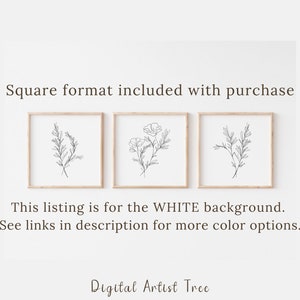 Neutral Wall Art Set of 3 Piece Wall Art Prints Botanical Line Art ...