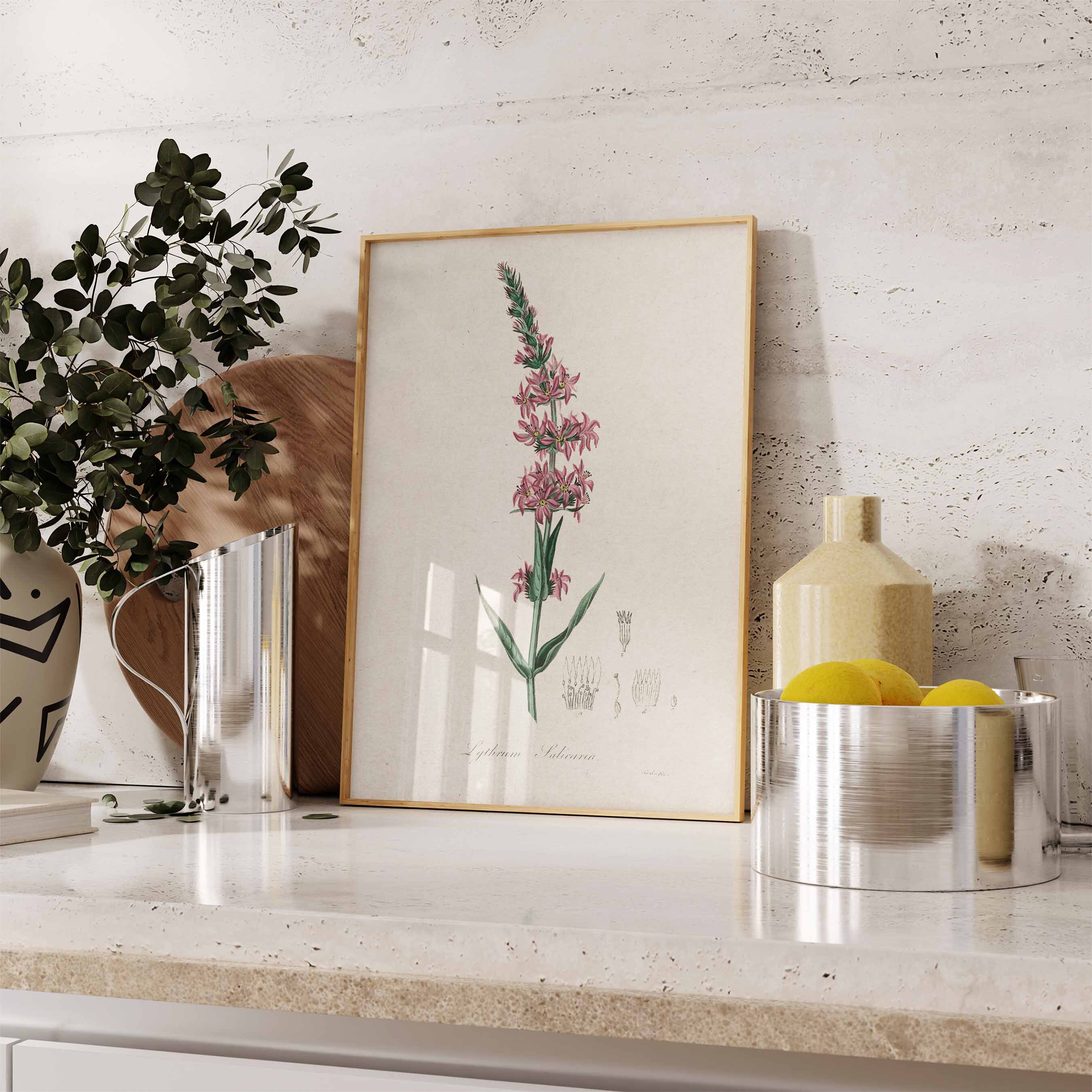 Vintage Botanical Prints Set of 3 Antique Floral Wall Art Herb Prints ...