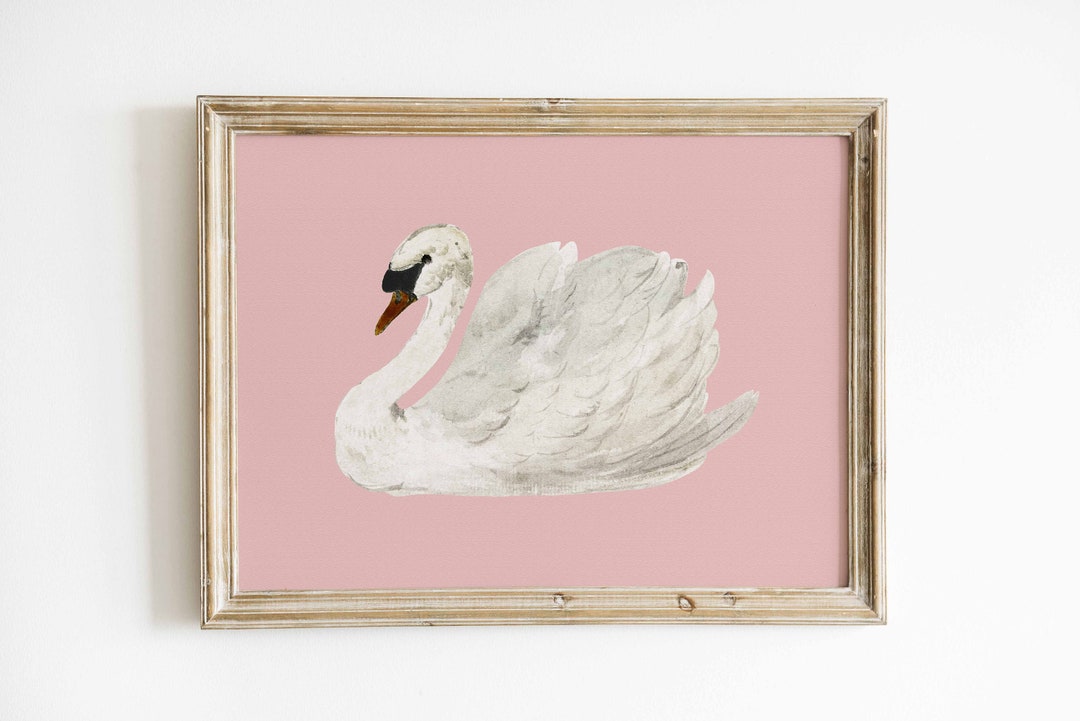 Pink Wall Art Muted White Swan Vintage Print Antique Nursery Minimalist ...